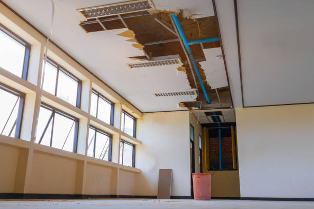Best Local water damage restoration  in Ojus, FL