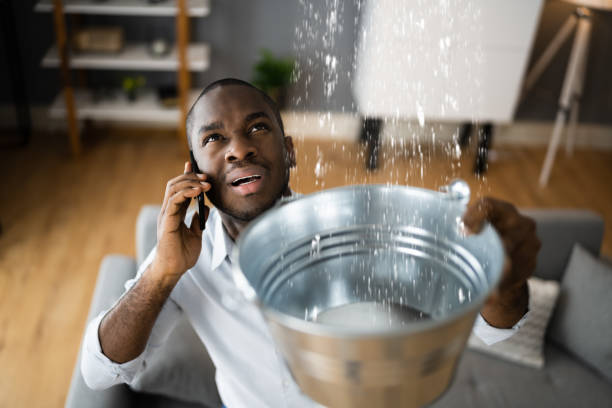 Best 24-hour water damage restoration  in Ojus, FL