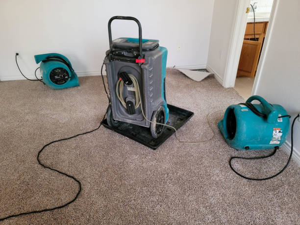 Best Carpet water damage restoration  in Ojus, FL