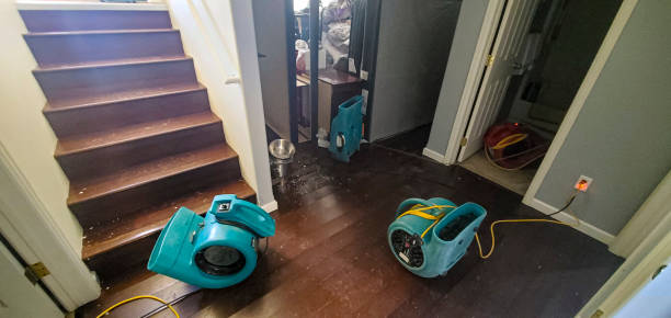 Ojus, FL Water damage restoration Company