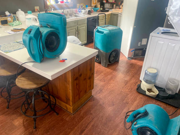Best Basement water damage restoration  in Ojus, FL