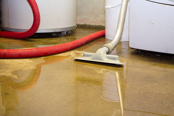 Best Basement water damage restoration  in Ojus, FL