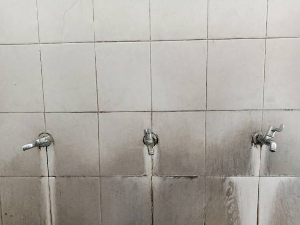 Best Basement water damage restoration  in Ojus, FL