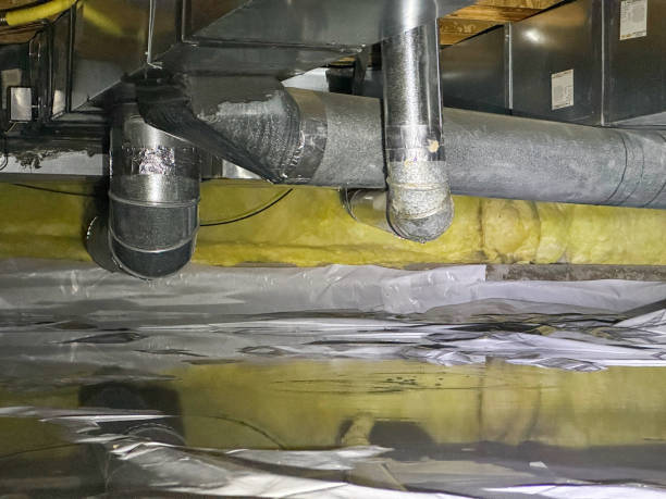 Carpet water damage restoration in Ojus, FL