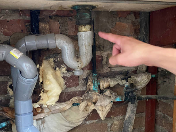 Best Local water damage restoration  in Ojus, FL