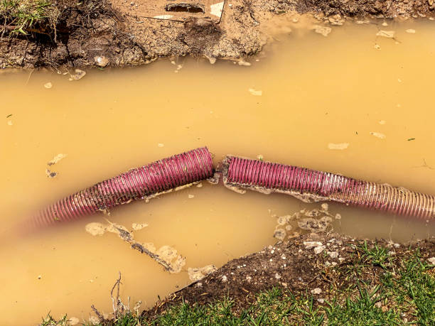 Best Water damage cleanup near me  in Ojus, FL