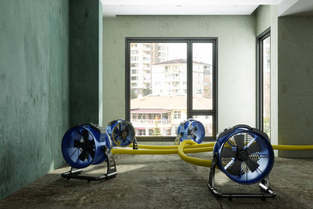 Carpet water damage restoration in Ojus, FL